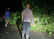 Truk Tabrak Pohon, Jalur Trans Sulawesi di Pagimana Sempat Tertutup