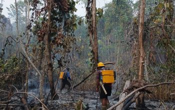 Karhutla Lahap 5 Hektare di Longkoga Barat