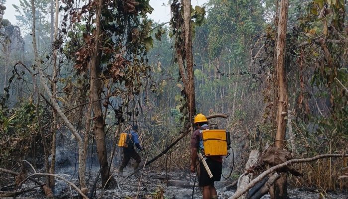 Karhutla Lahap 5 Hektare di Longkoga Barat