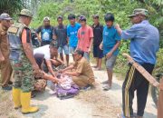 Berangkat ke Kebun, Lansia Ditemukan Meninggal Dunia