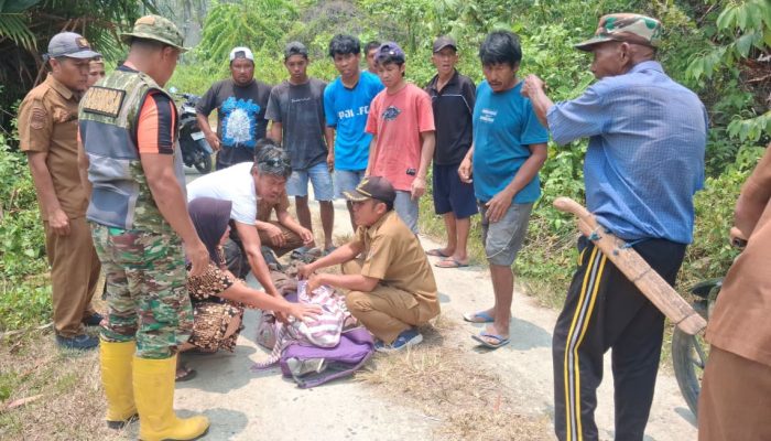 Berangkat ke Kebun, Lansia Ditemukan Meninggal Dunia