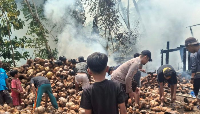 Kebakaran Tempat Pengasapan Kelapa di Balantak