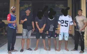 Sapi Raib di Perkebunan Toili