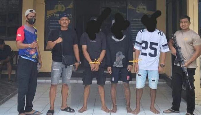 Sapi Raib di Perkebunan Toili