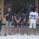 Sapi Raib di Perkebunan Toili